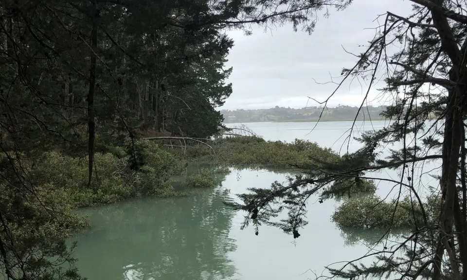 Whitford Coastal Trail Loop , Auckland