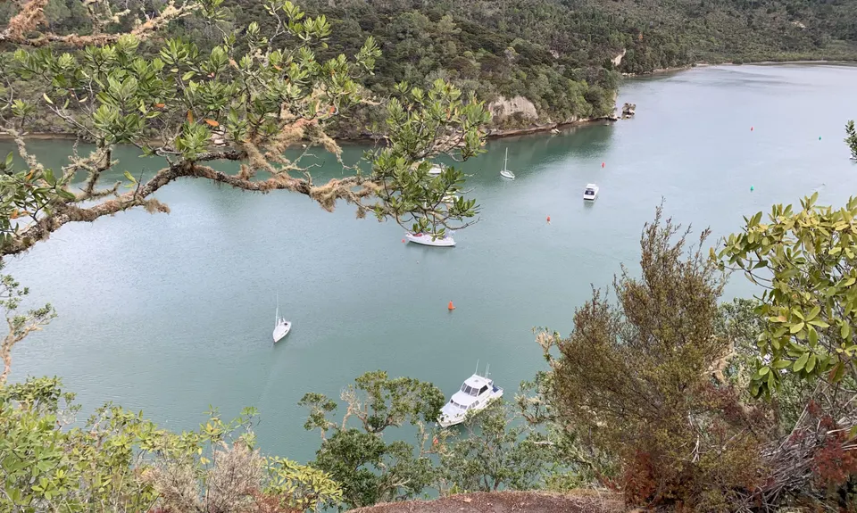 Whitianga Rock to Cooks Beach, Waikato