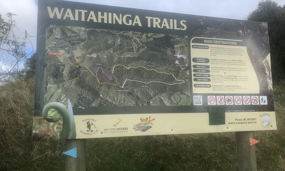 Waitahinga Dam Loop, Manawatu - Wanganui