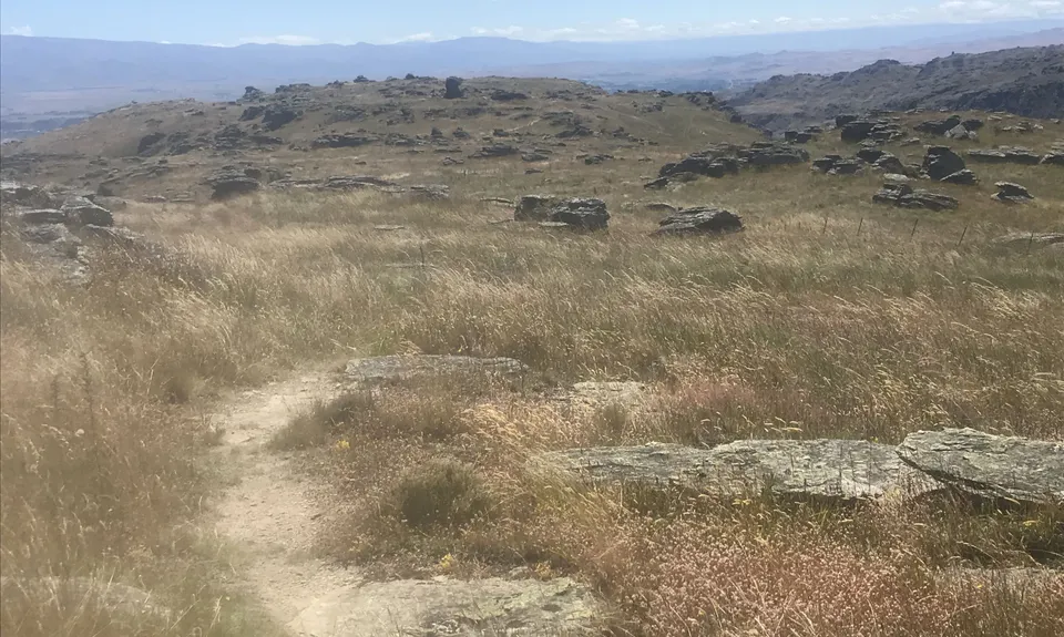 Flat Top Hill, Otago