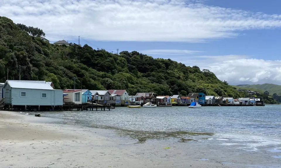 Pauahatanui Trio, Wellington