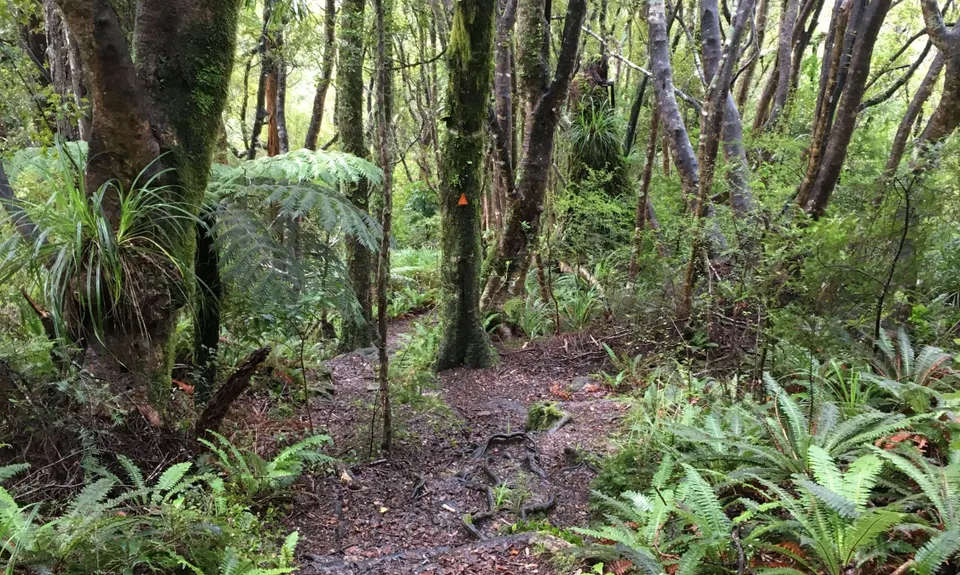 Blue Range Hut, Wellington