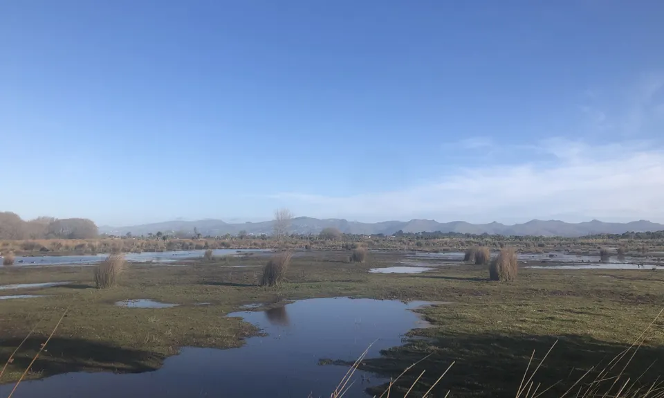 Travis Wetland Loop, Canterbury