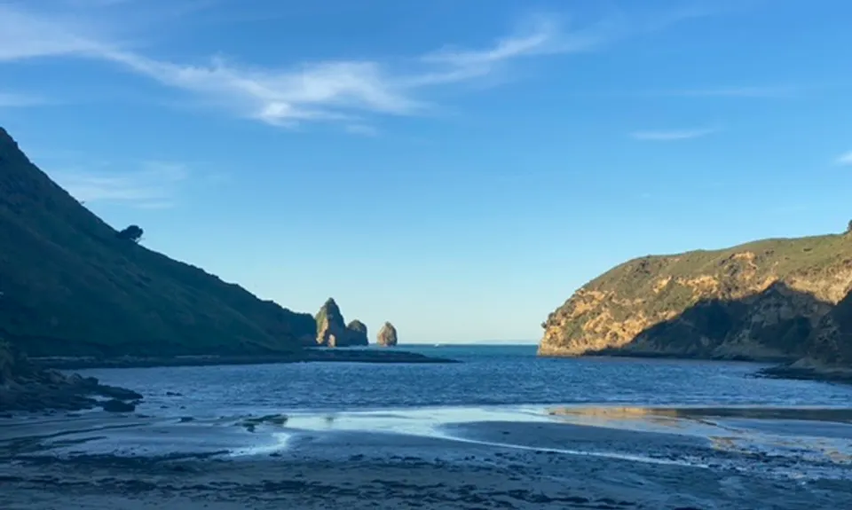 Cooks Cove  Walkway Return , Gisborne