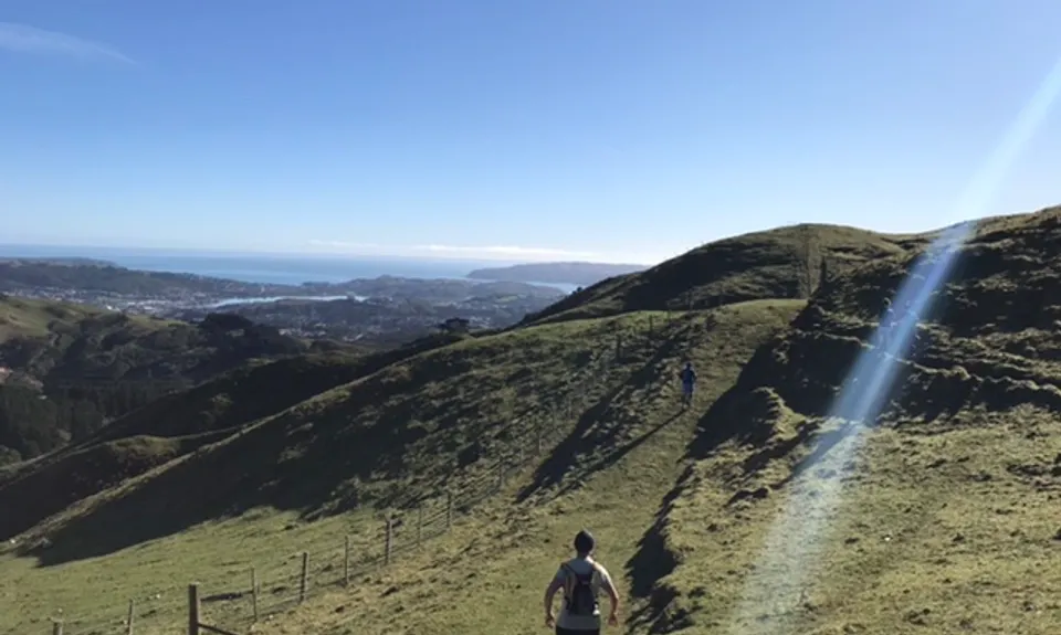 Puke Ariki Traverse, Wellington