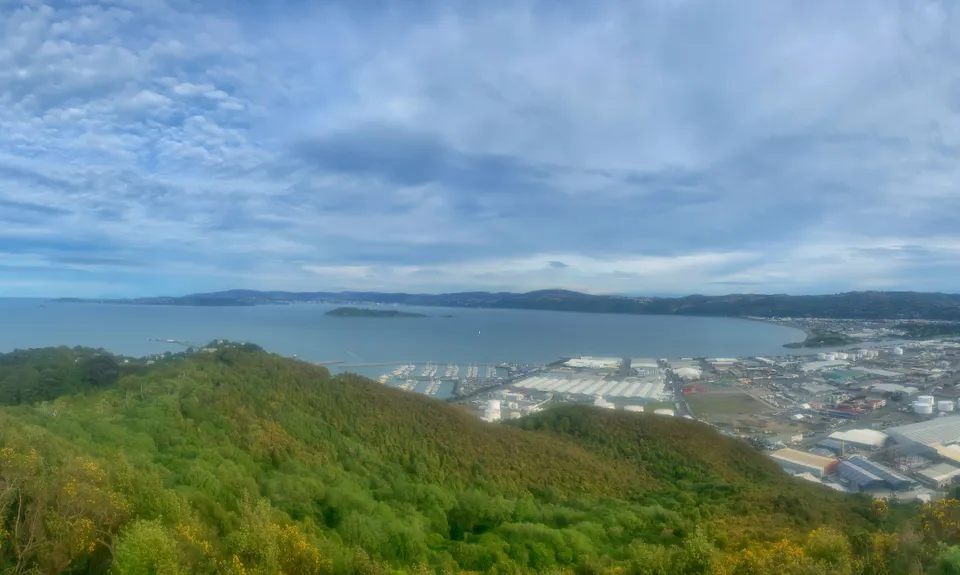 Eastbourne Ridge Loop, Wellington