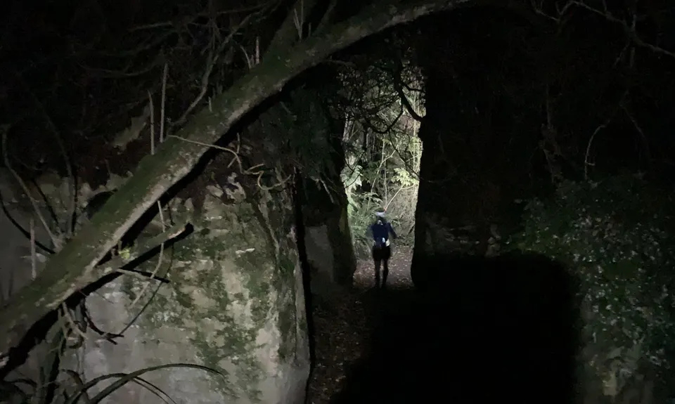 Forrest Hill Track, Southland