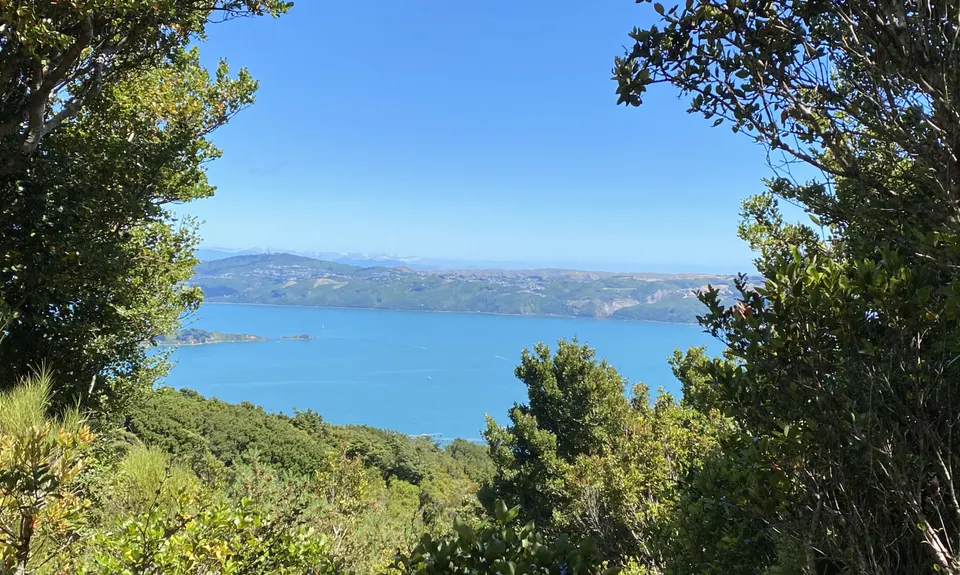 Rata Ridge, Wellington