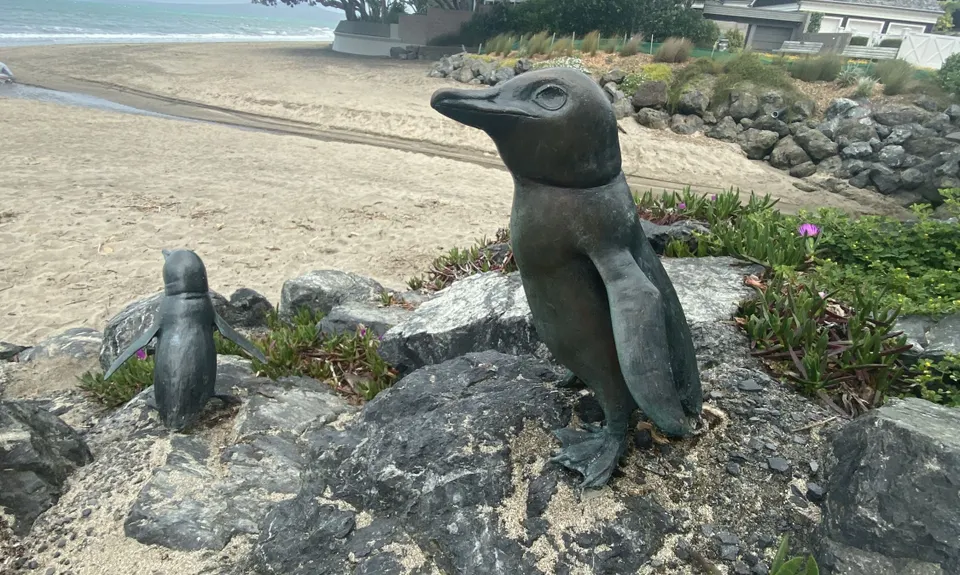 Campbells to Browns Bay, Auckland