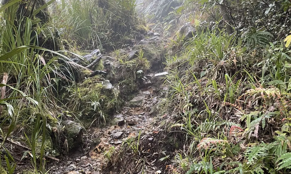 Te Aroha Summit Loop, Waikato