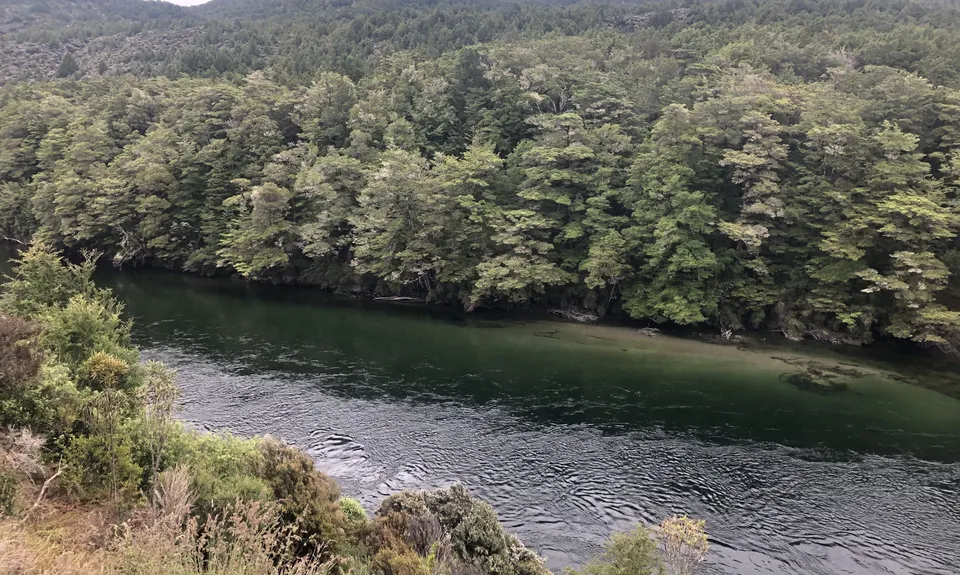 Waiau River Loop, Southland