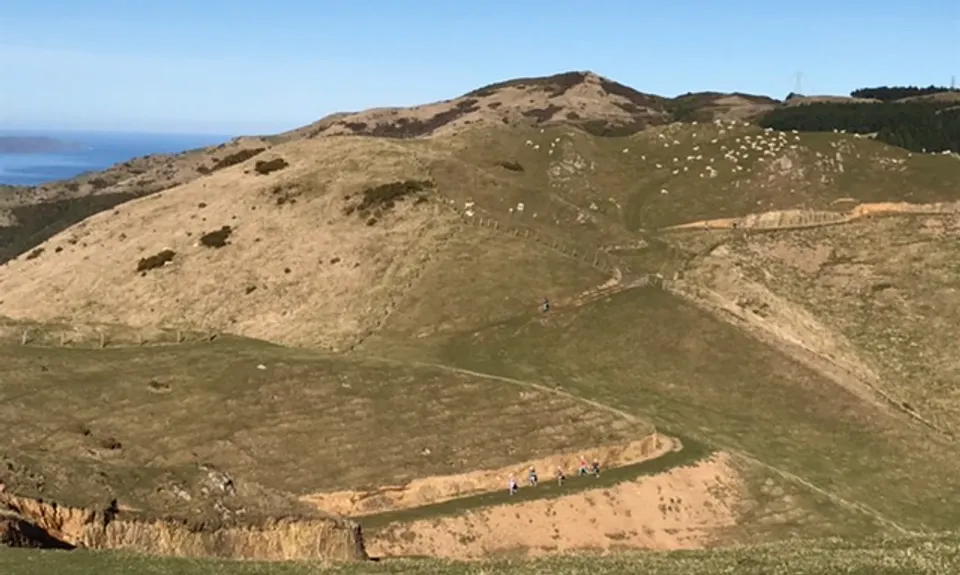 Puke Ariki Traverse, Wellington