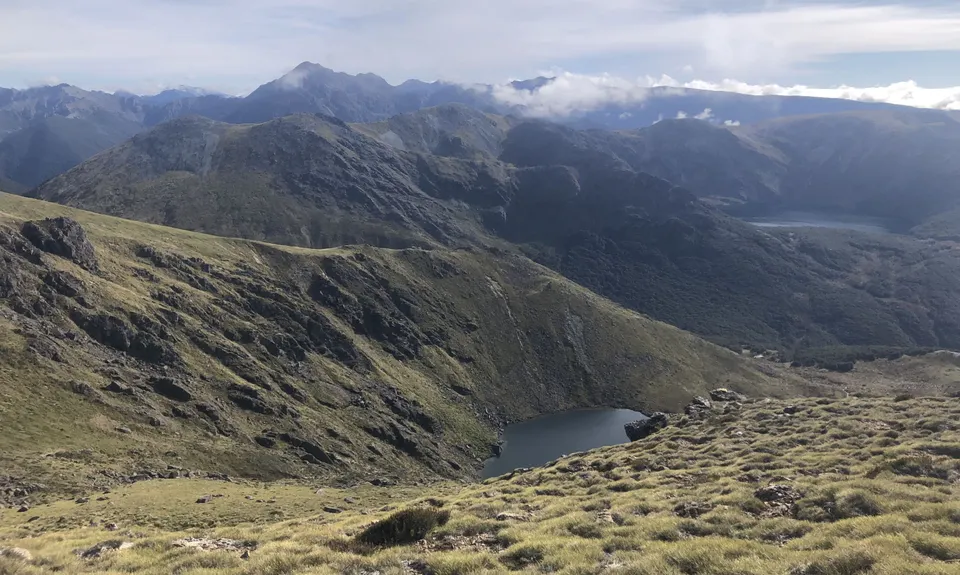 Diamond in the Rough, Tasman