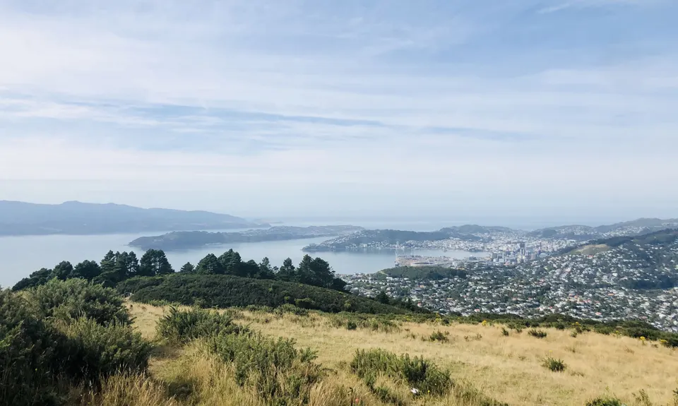Skyline - Mt Kaukau, Wellington