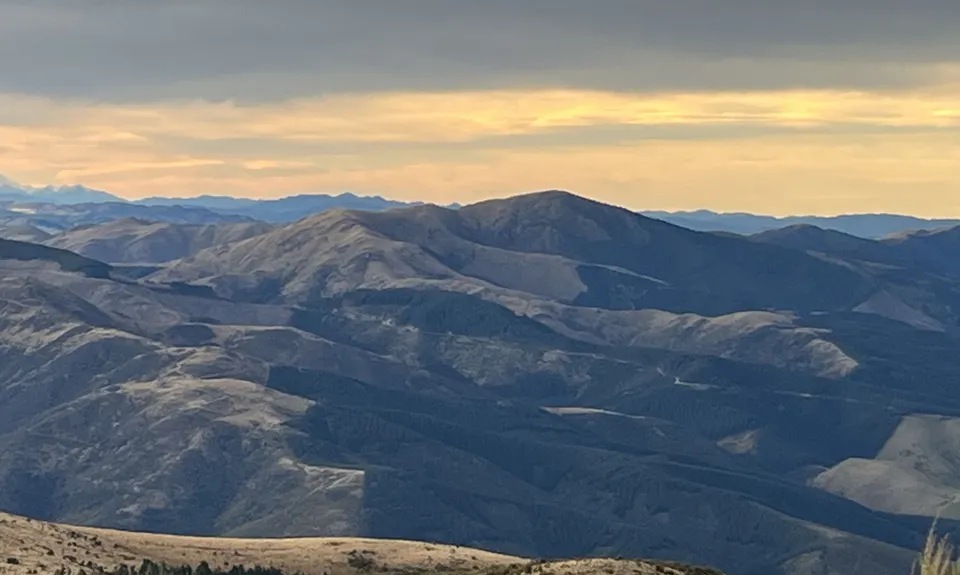 Mt Thomas Direct!, Canterbury