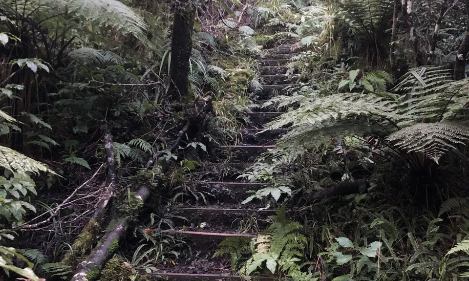 Waiwhakaiho Track, Taranaki