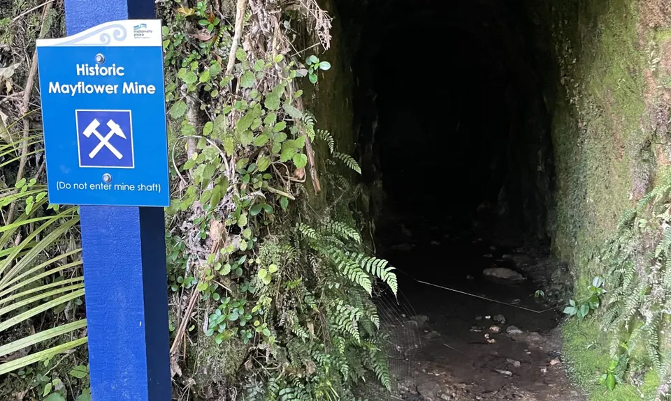 Te Aroha Summit Loop, Waikato