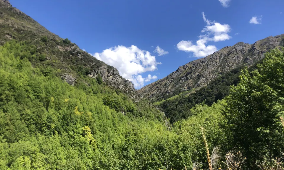 Sawpit Gully - German Hill, Otago