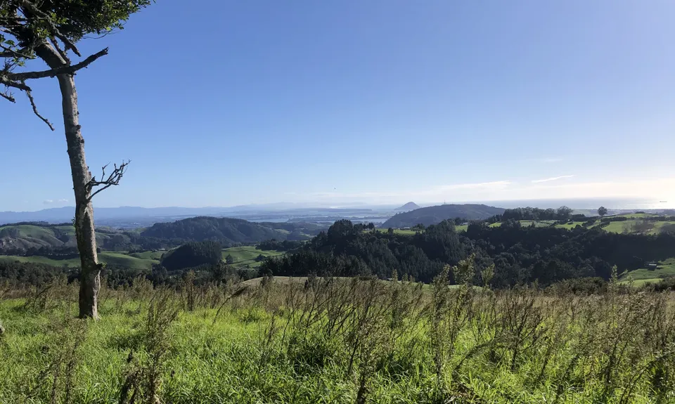 Otawa Trig, Bay of Plenty