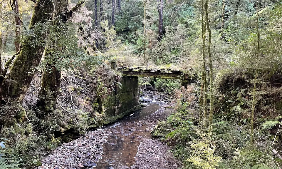 Murray Creek / Konini Track Loop, West Coast