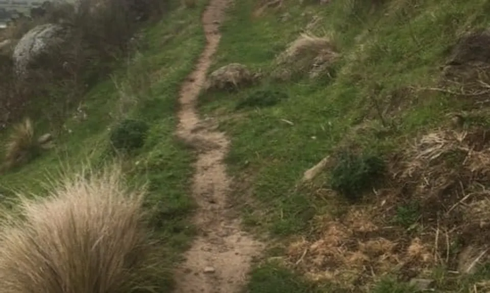 Morgans Baa Baa Loop, Canterbury