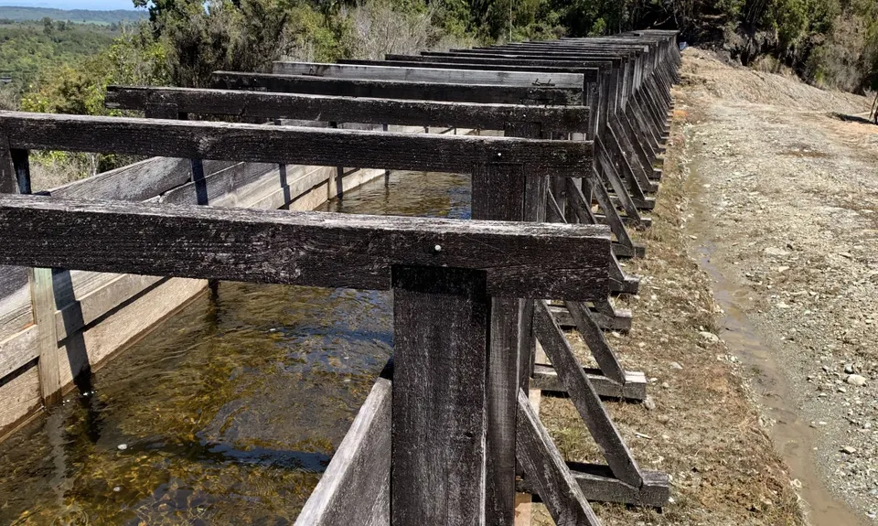 Kaniere Water Race, West Coast