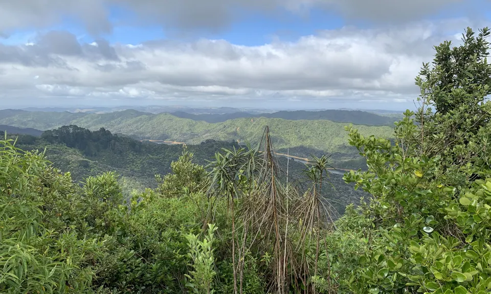 Ernie's loop, Auckland