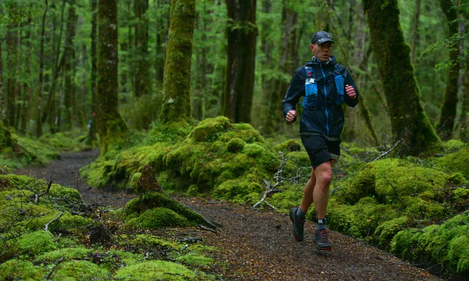 Kepler Track, Southland