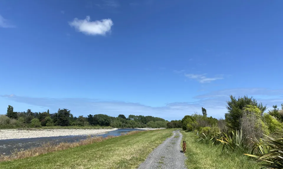 Chrystalls Bend Walkway, Wellington