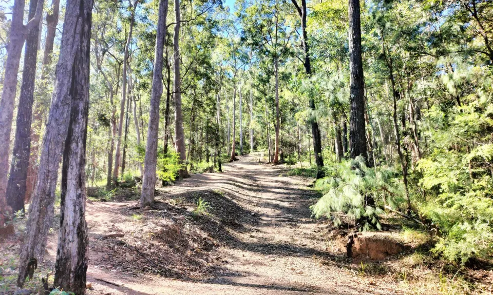 Backwoods of Coot-tha, Queensland