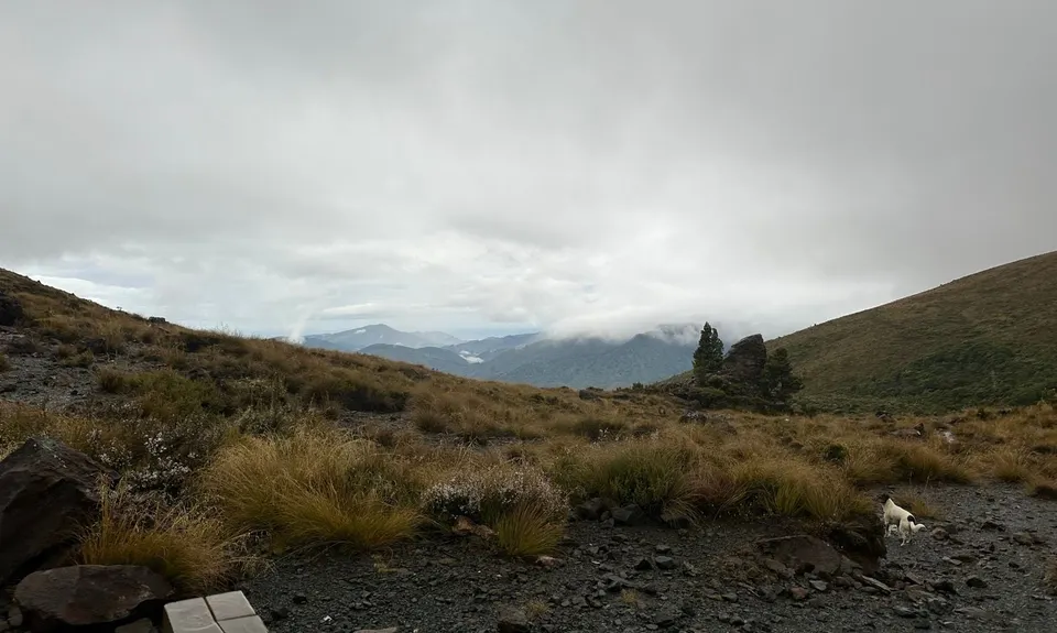 Dun Mountain Loop, Nelson