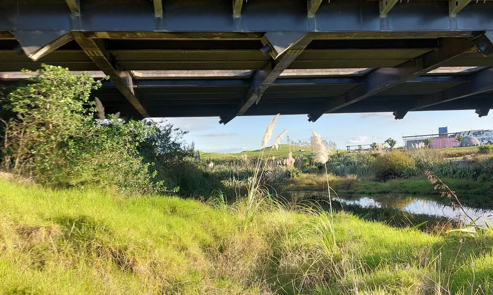 Bazza C Trail Happy, Auckland