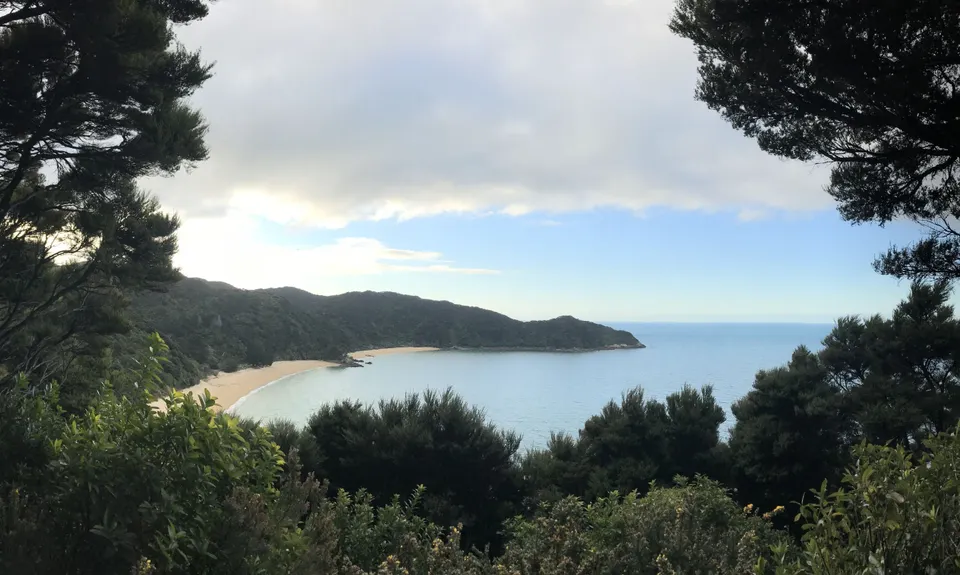 Gibbs Hill Loop, Tasman
