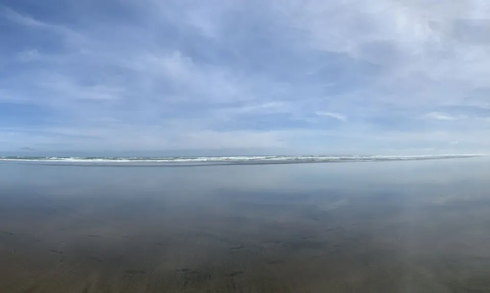 Muriwai Beach and Trail, Auckland