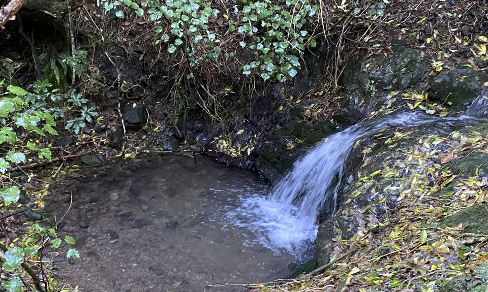 Jimmy Lee Creek, Tasman
