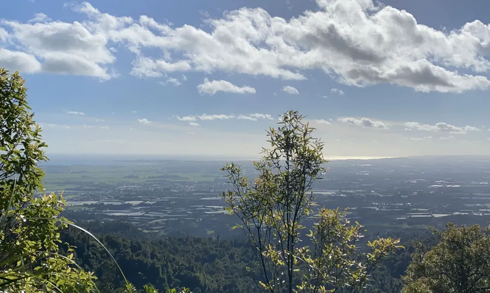 Otawa Trig, Bay of Plenty