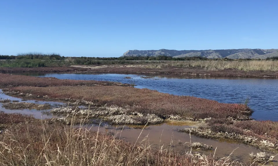 Wairau Lagoons Loop v2, Marlborough