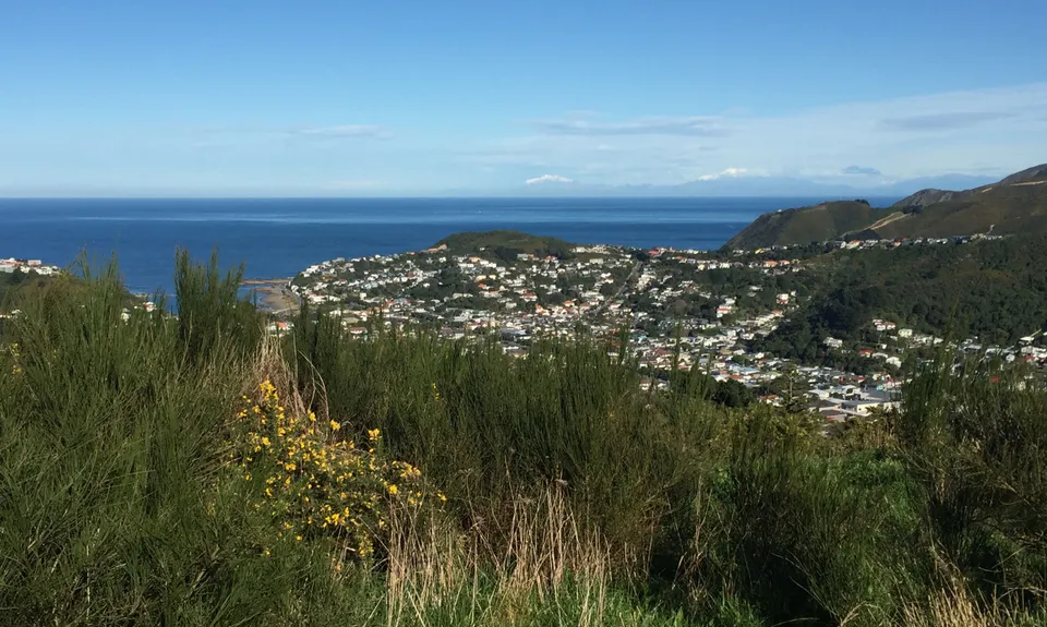 Southern Walkway, Wellington