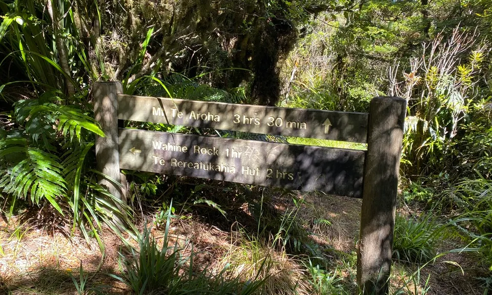 Kaimai Ridgeway, Waikato