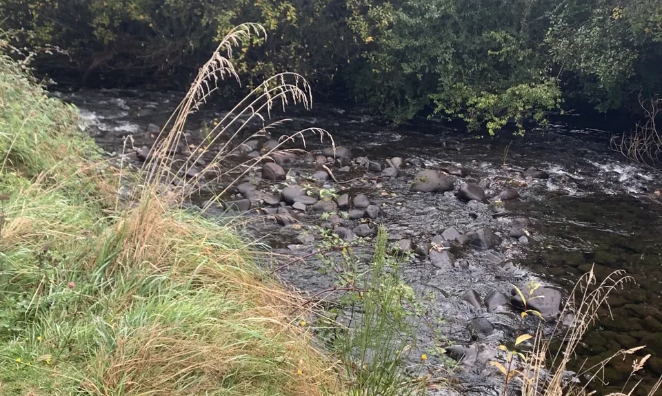 Ohakune Town/Forest Loop, Manawatu - Wanganui