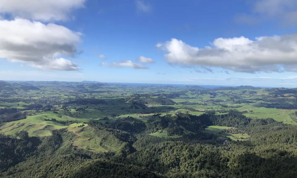 Karangahake Gold, Waikato