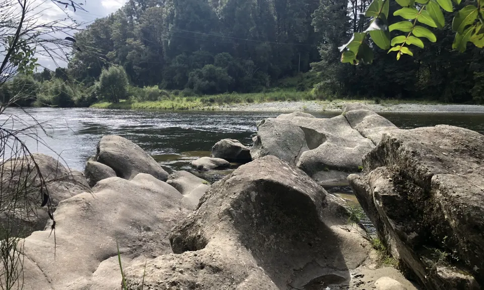 Kahikatea Trail, Tasman