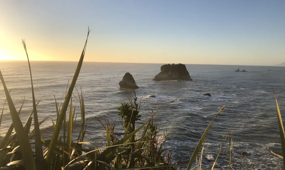 Point Elizabeth Track, West Coast