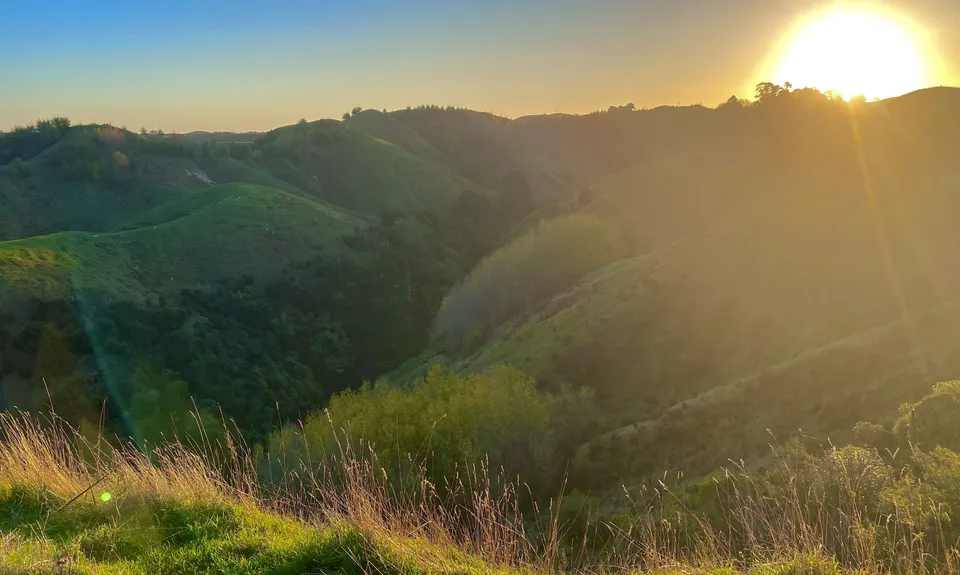 Bushy Breathtaking Branch Rd, Manawatu - Wanganui