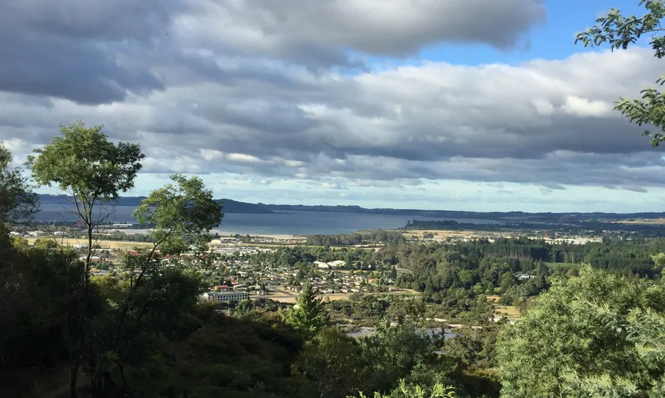 Pohaturoa Track, Bay of Plenty