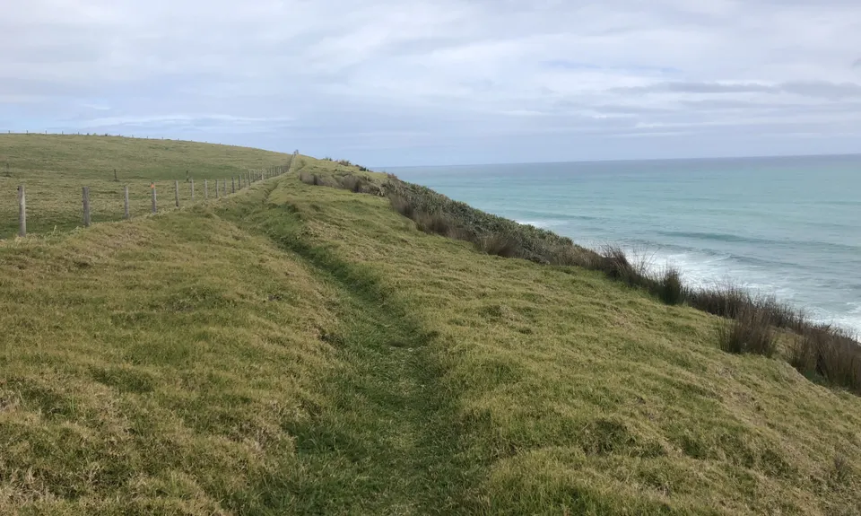 Hokianga Hauler, Northland