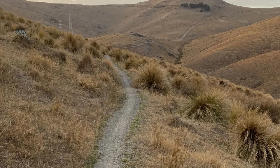 Montgomery Loop, Canterbury