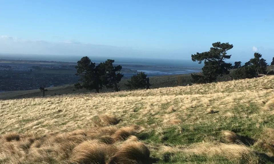 Montgomery Loop, Canterbury