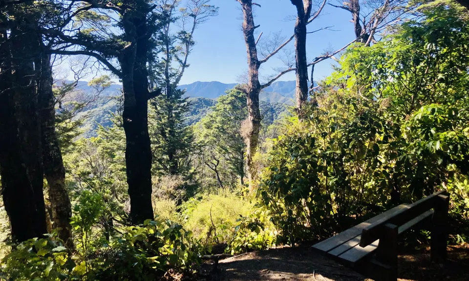 Eastbourne Ridge Loop, Wellington
