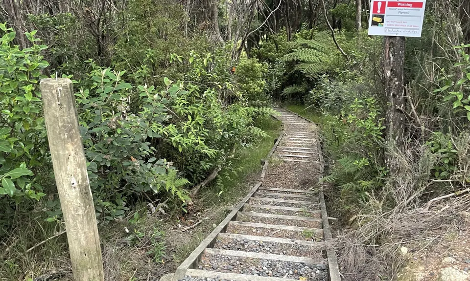 Paihia Lookout Track +, Northland